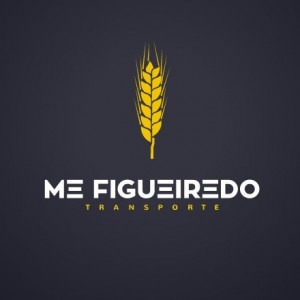 MINI ESCAVADEIRAS, MINI CARREGADEIRA, CARROS, CAMINHÕES, CARRETA  E OUTROS