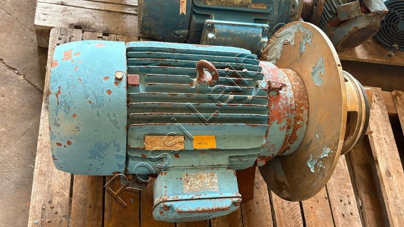 1 Motor Eletrico Weg