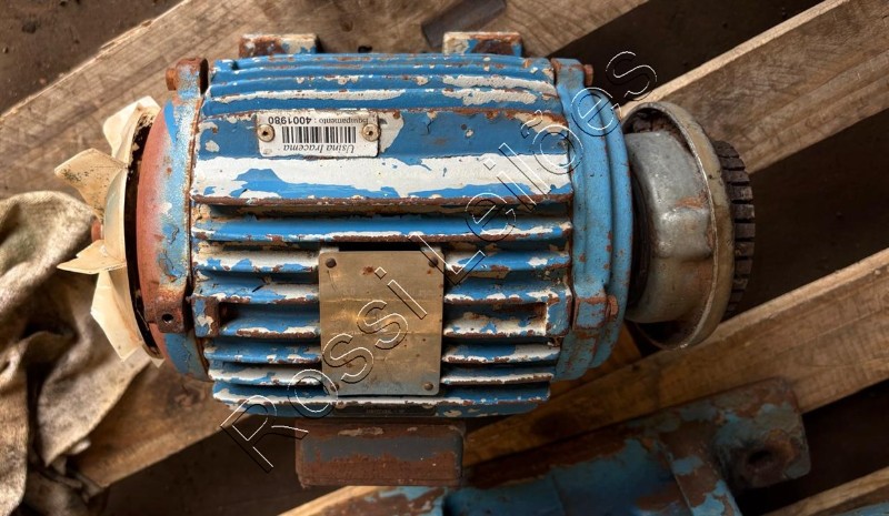 1 Motor Eletrico Weg 3CV