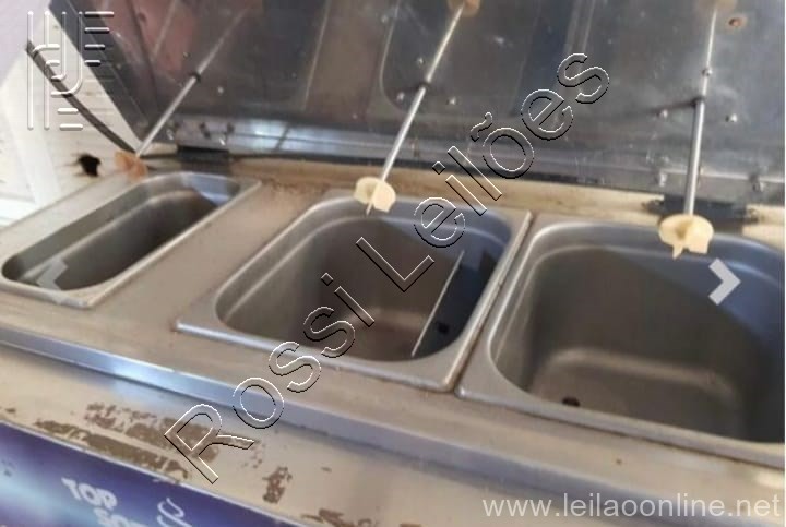 Máquina de sorvete e milk shake 220 v